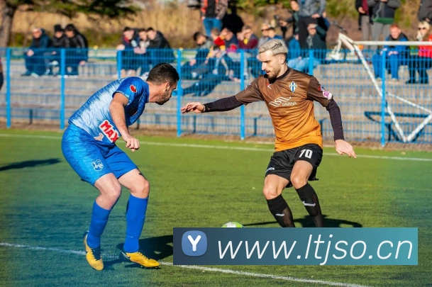 星空网首页入口全站App